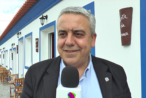 sardinhamocinha
