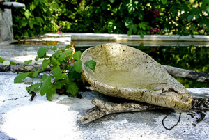 descontinuadojoaocarvalho